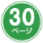 30ページ